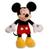 Micky Mouse Picture